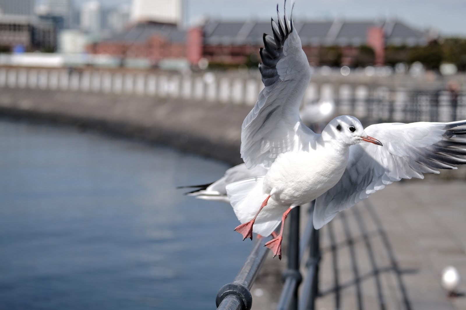 DSCF0909.JPG