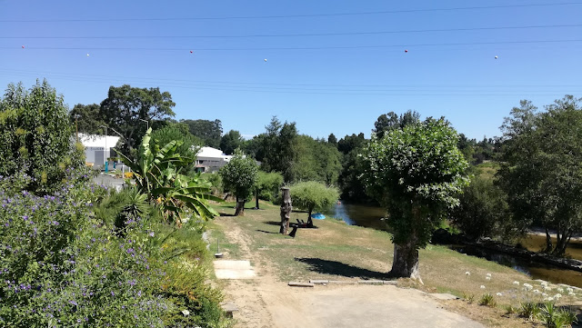 Zona de relvado da Praia de Porto carrero