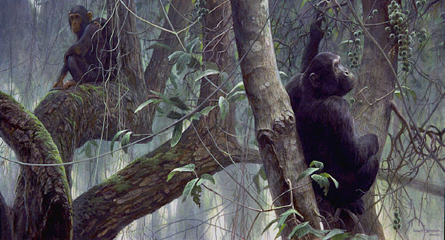 Роберт Бейтмэн / Robert Bateman At Mahale – Chimpanzees, 2000