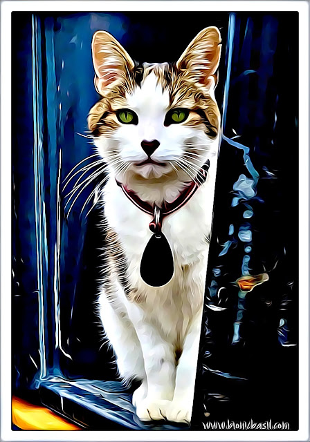 Basil's Epic Selfie ©BionicBasil® Caturday Art