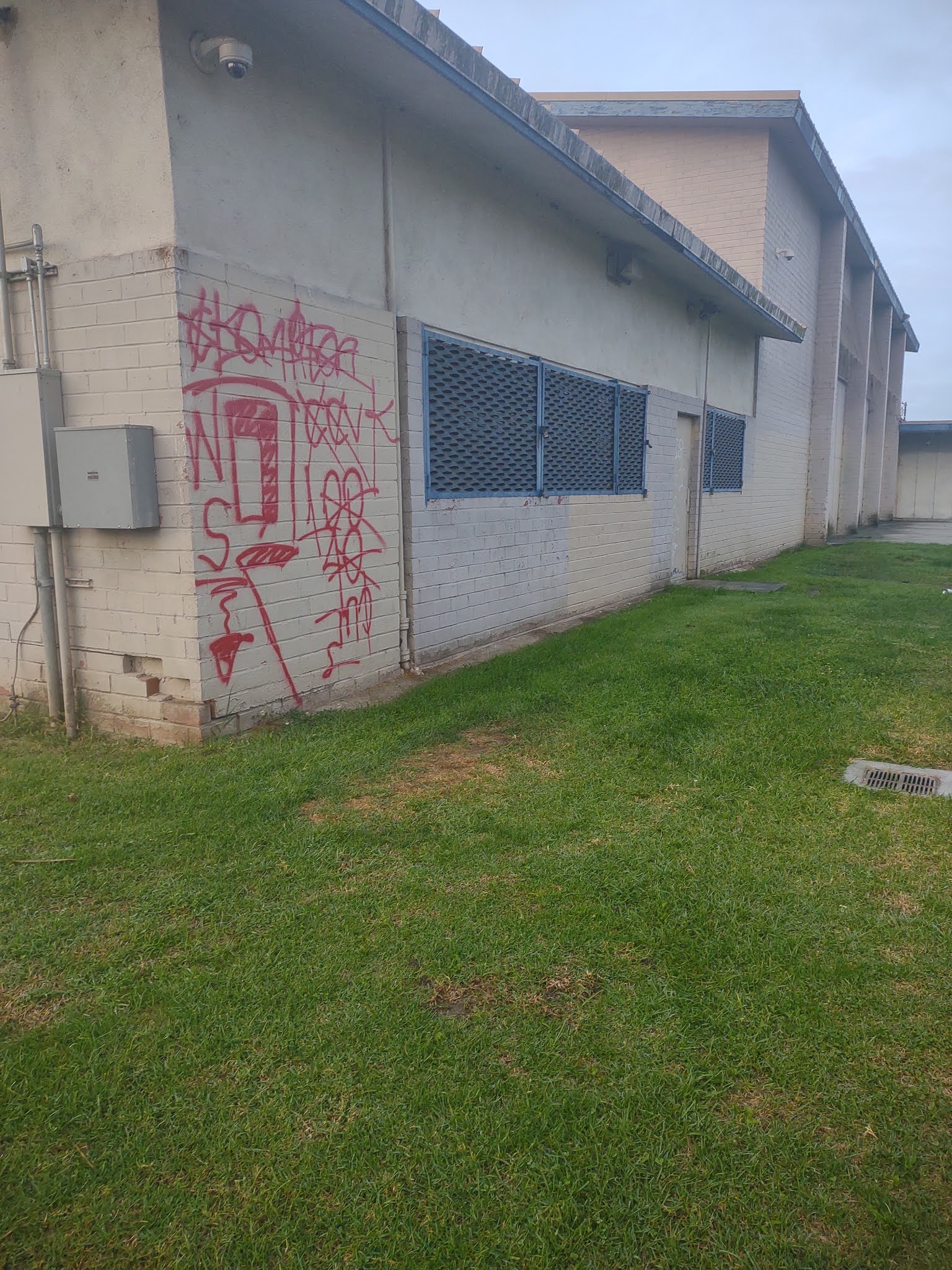 blood gangs graffiti west side piru ( 142 street )
