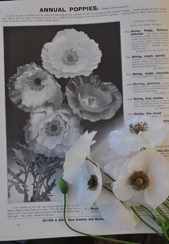 Florida Friendly Seasonal Planting Guide