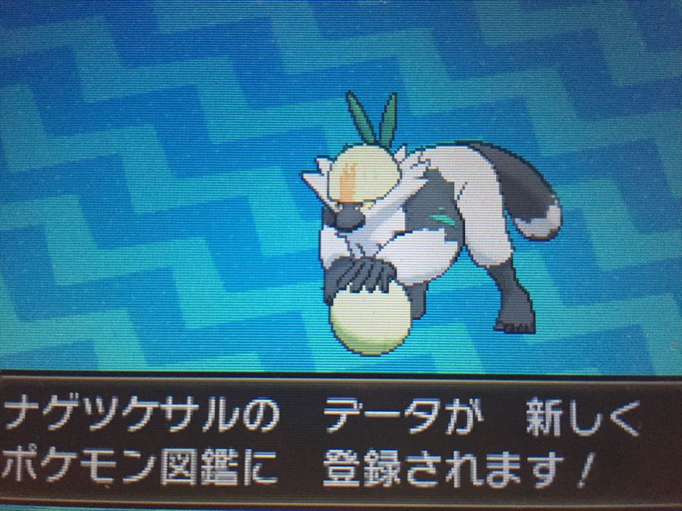 ポケさんぽ ポケットモンスター サン 9 アーカラ島 ハノハリゾート エーテルパラダイス 3ds