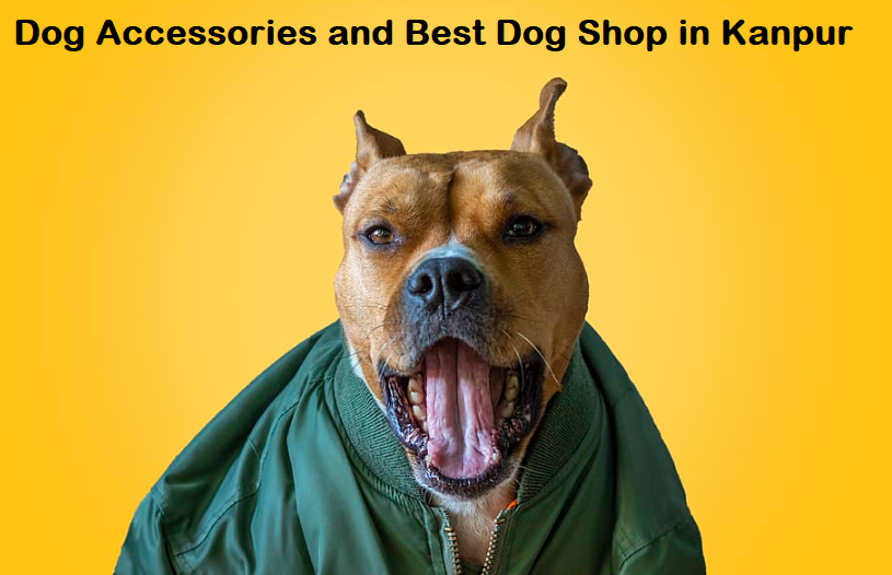 KANPUR List of Pet Shops in Kanpur Upto 5060 Discount