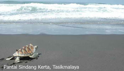 Pantai Sindangkerta