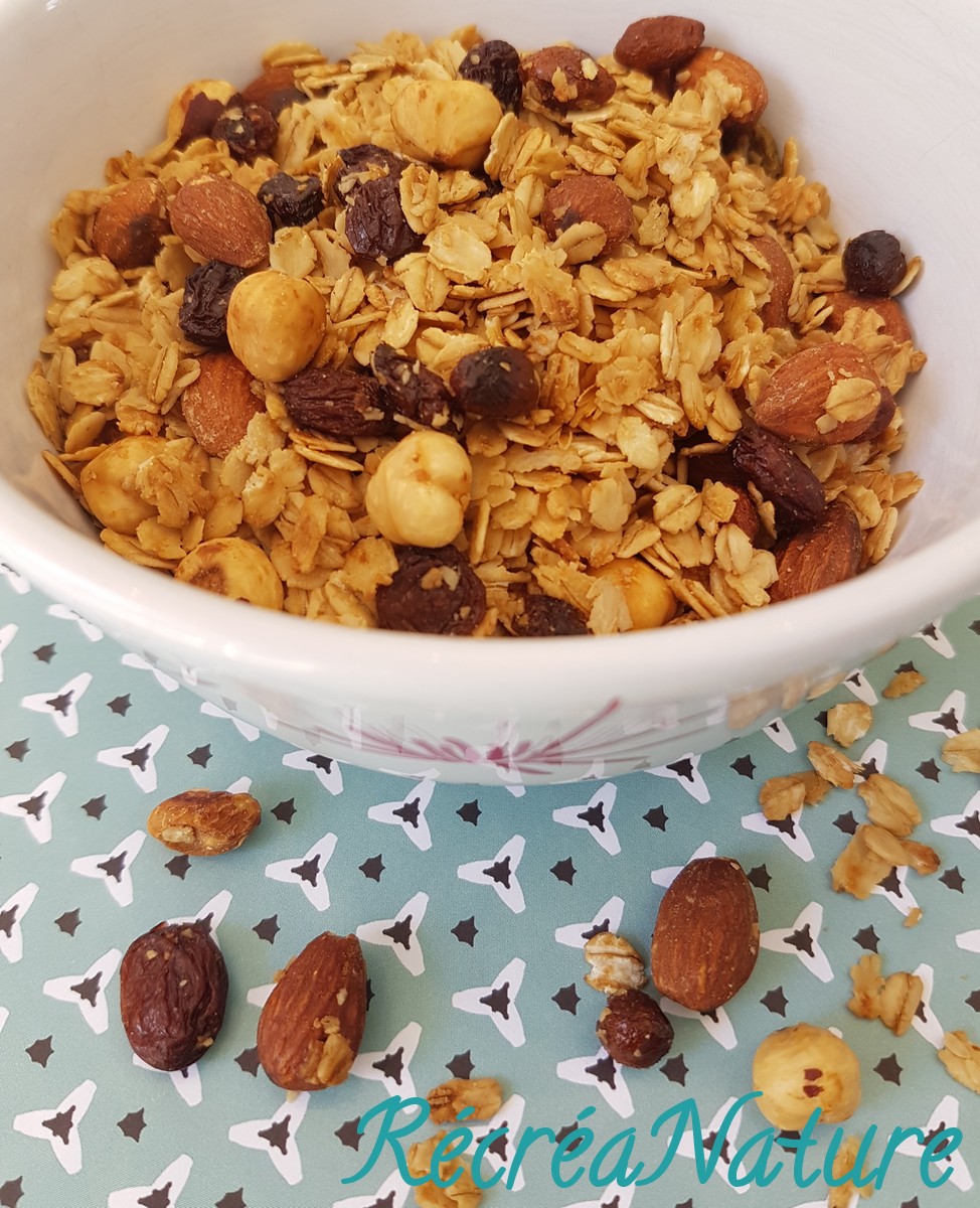 Granola Maison de Flocons d'Avoine aux Trois Noix et au Sirop d'Agave
