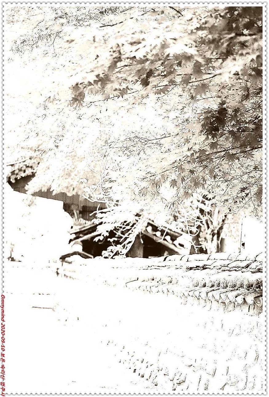 속리산 법주사