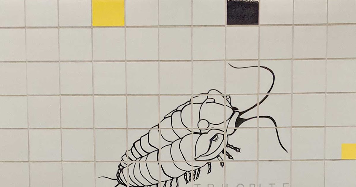 Louisville Fossils and Beyond Natural History Tiles at Roosevelt Station