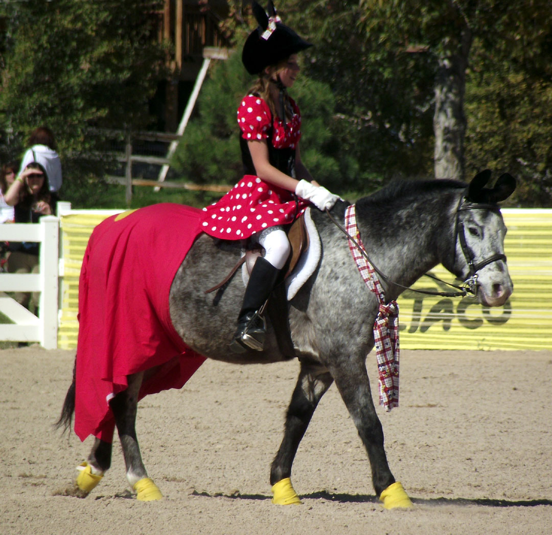 Horse Fancy Dress Ideas Minnie and Mickey Mouse