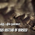 நிந்தைக்கு பதில் நன்மை! | Good Things Instead of Curses!