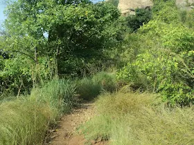 The hiker starting the descent down the rocky path