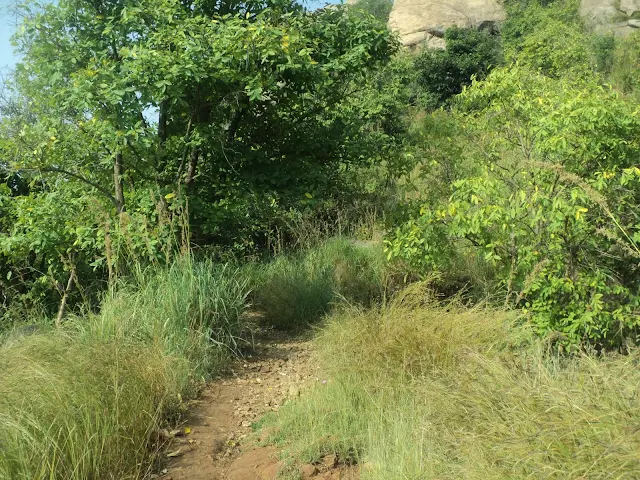 The hiker starting the descent down the rocky path