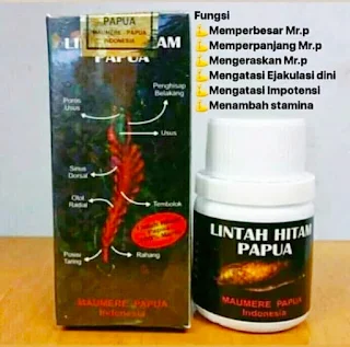 Jual minyak lintah papua di surabaya