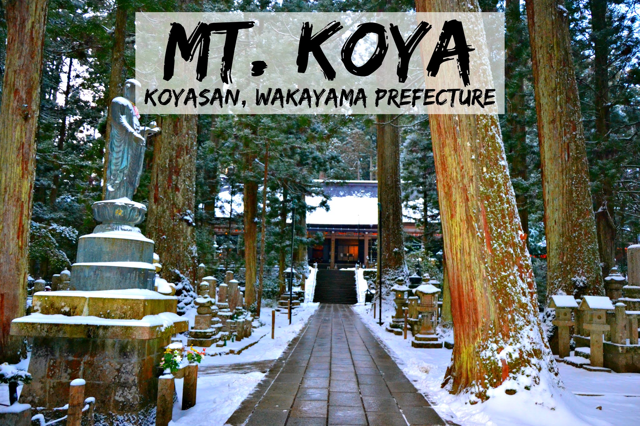 Mt. Koya Wakayama