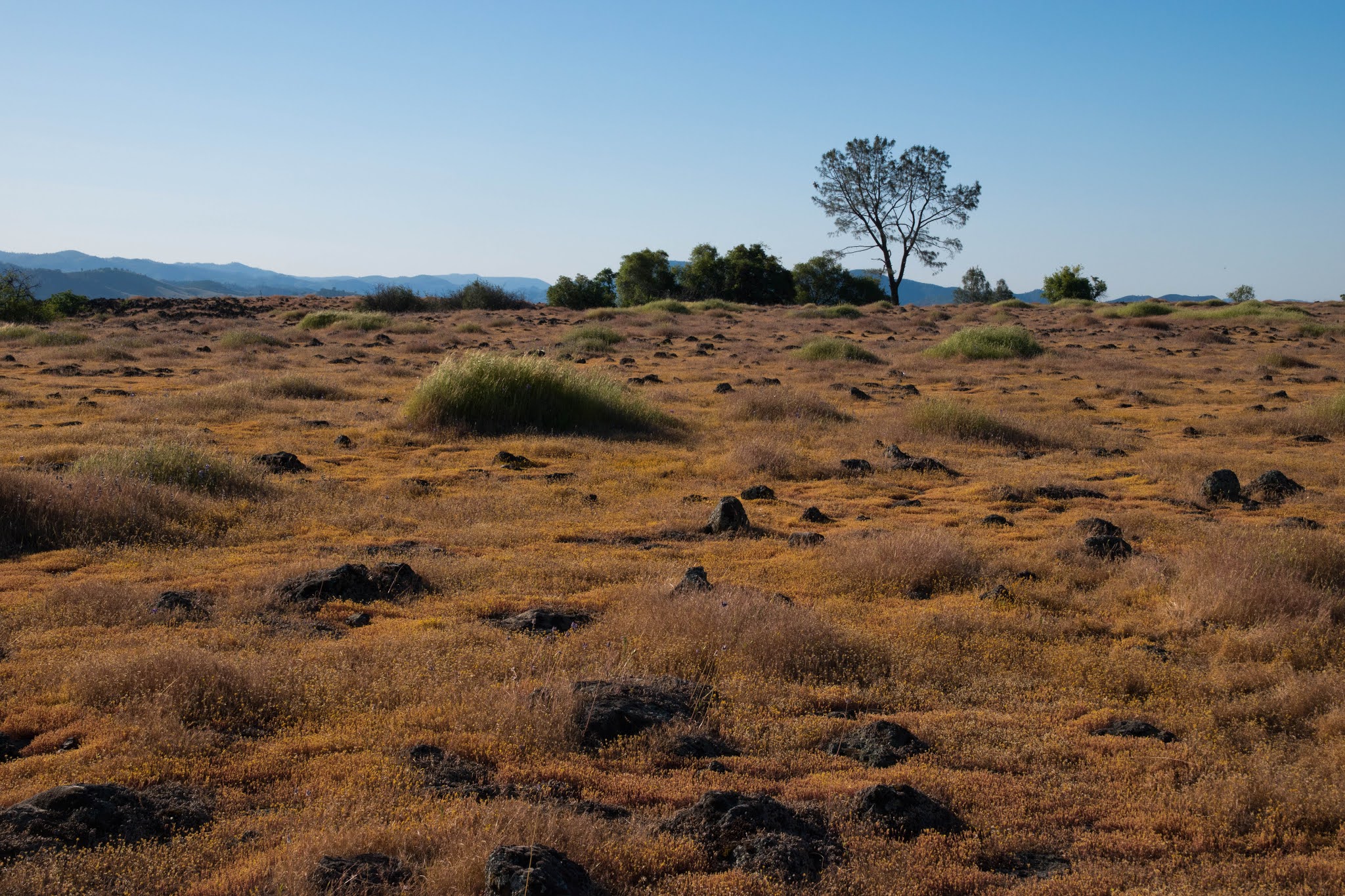 Hiking Shenandoah Table Mountain (Jamestown, CA)