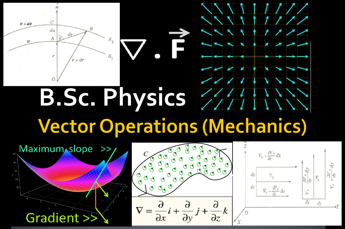 speciation