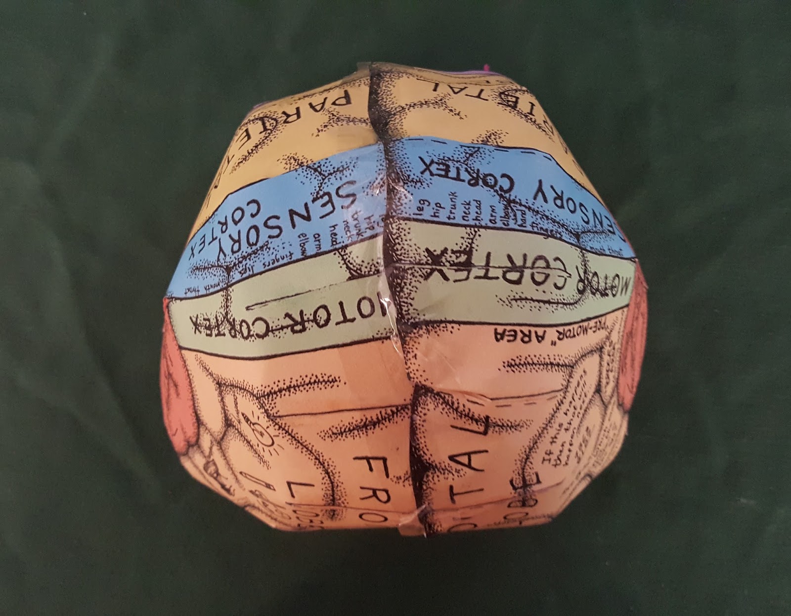 brain-hat-printable-that-are-exceptional-brad-website