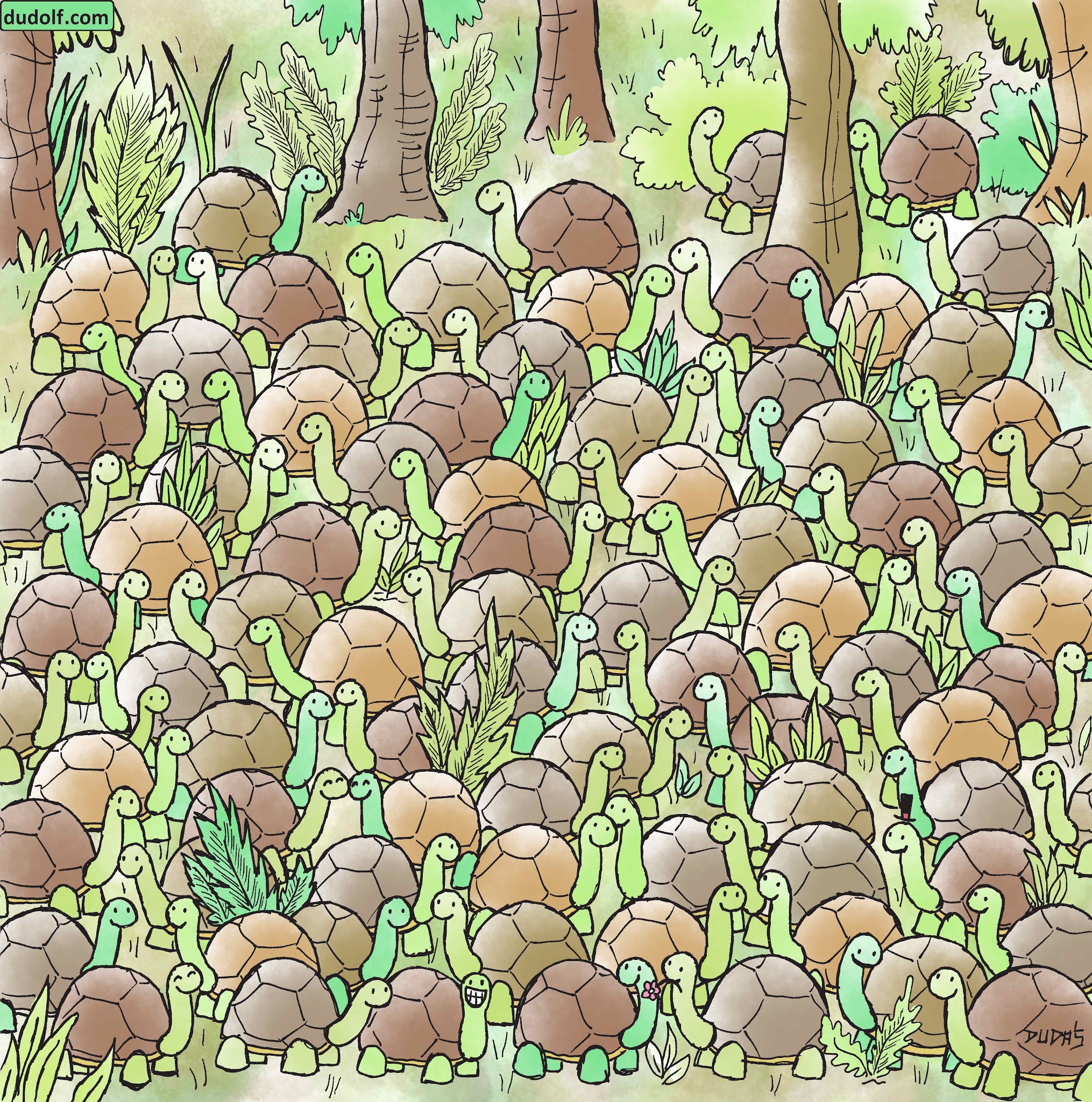 Opposable Thumbs On Tortoises? The Answer Will Shock You! - 647ob9o