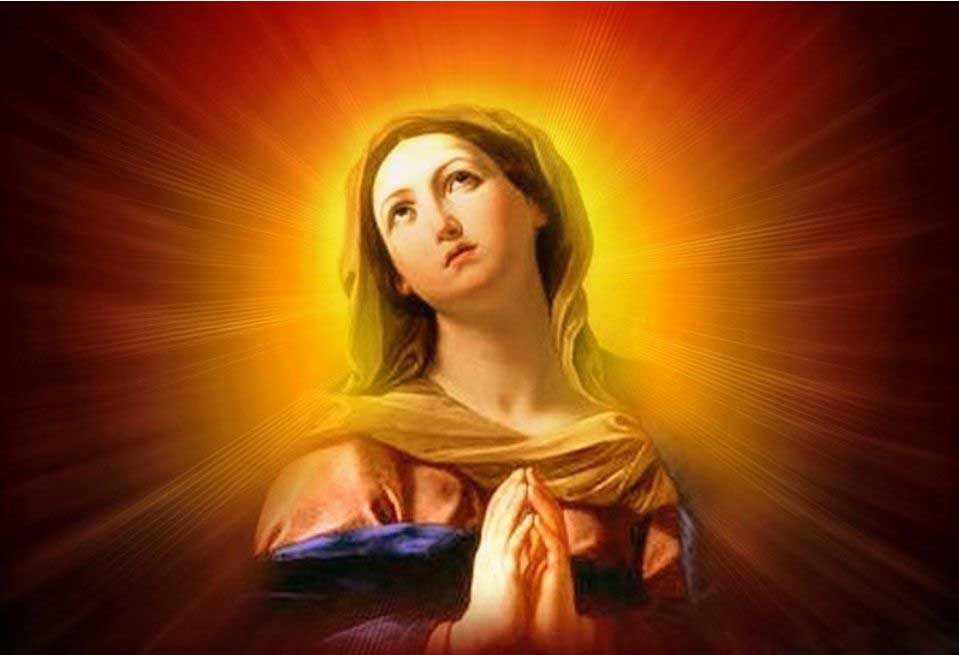 ALL CATHOLICS : The Blessed Virgin Mary: Her Privileges and Relation to