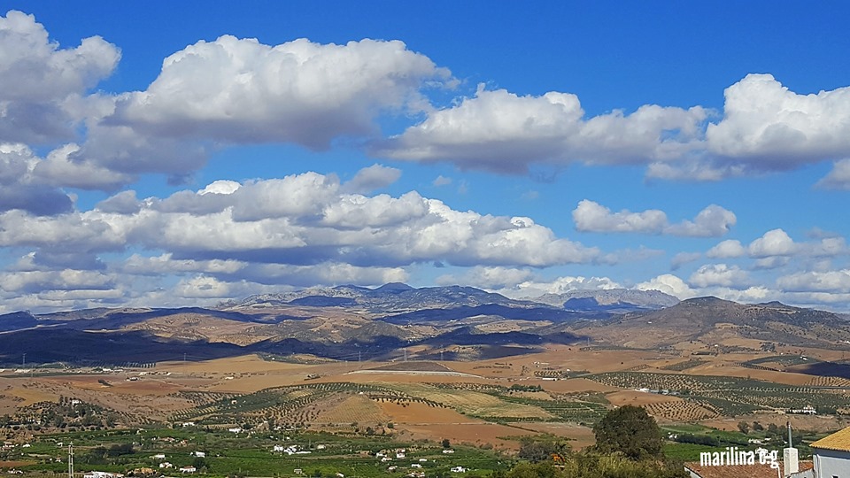 DESDE EL LUGAR Una hoja suelta del cuaderno de bitácora.Cielo y nubes