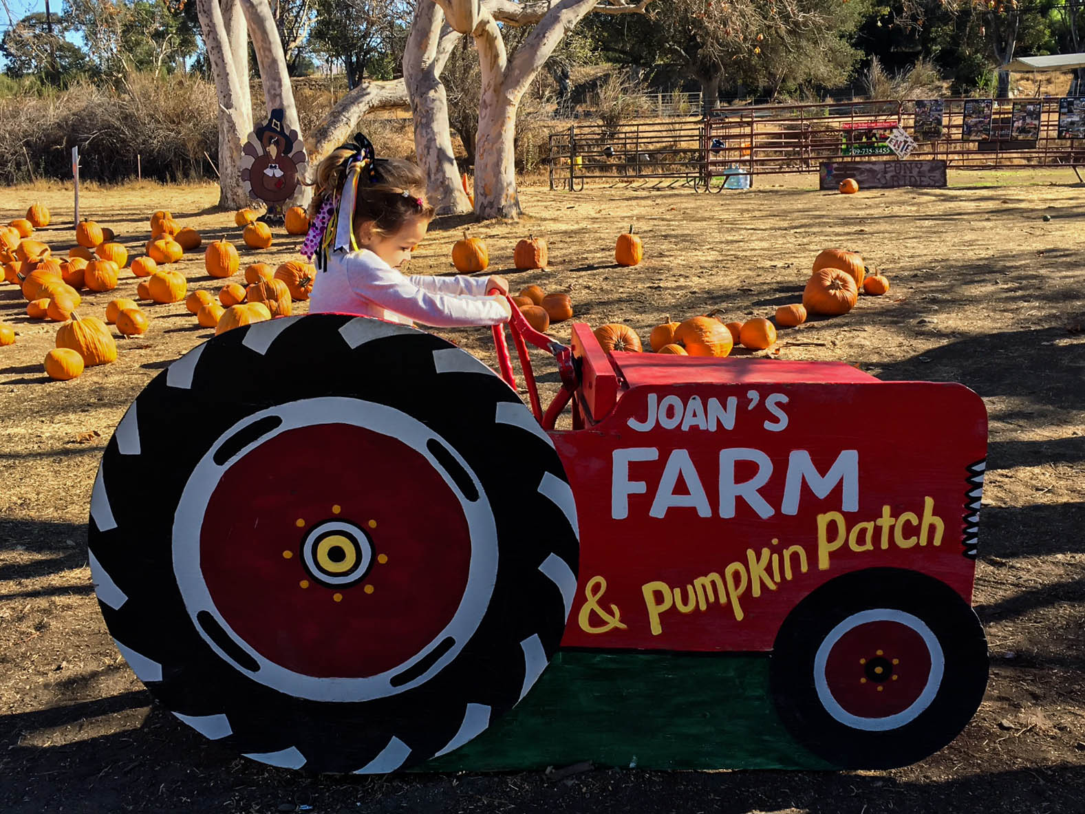 lou lou bell & lucy my lucy > joan's farm & pumpkin patch 2015