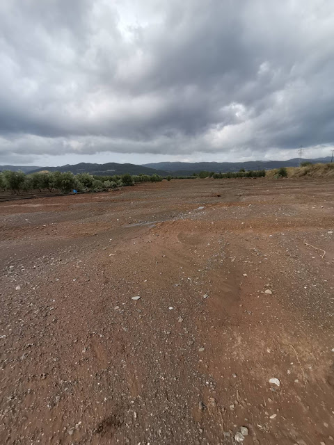 IMG 4095 | Lamianow.gr