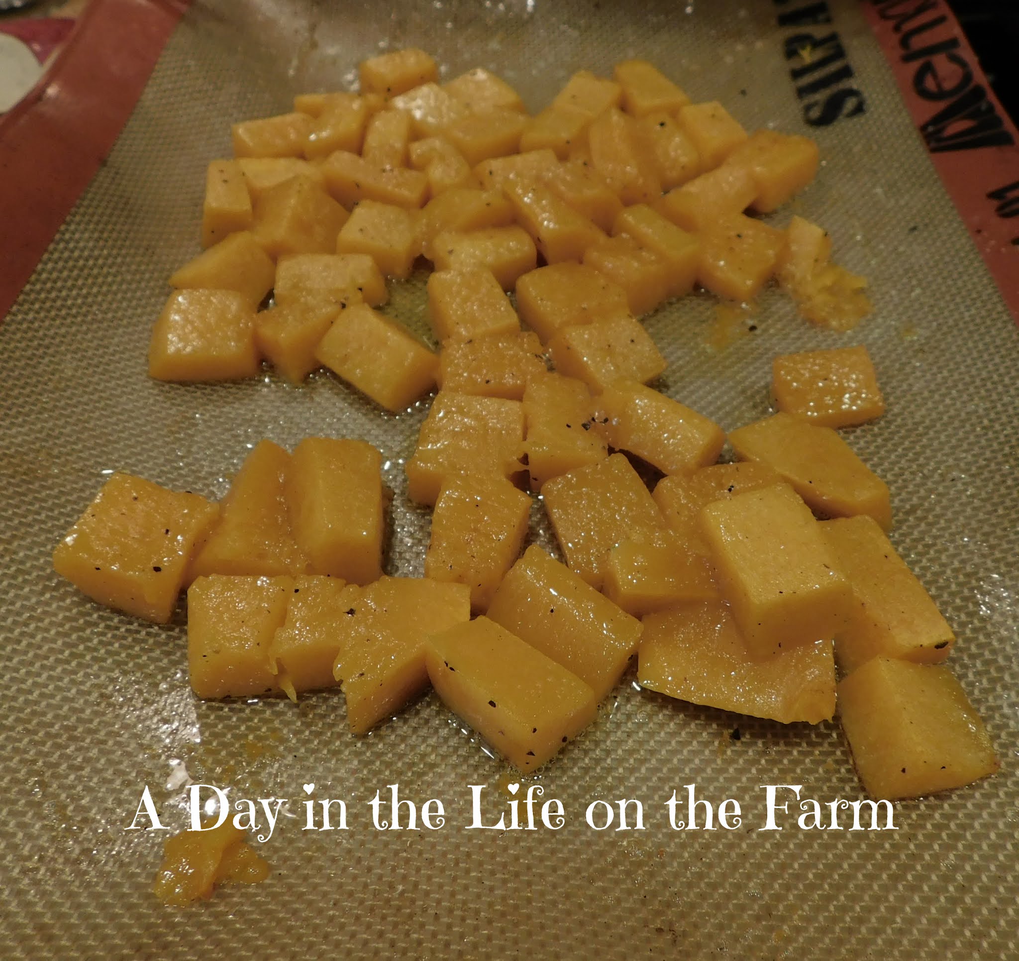 A Day in the Life on the Farm Black Bean and Butternut Squash