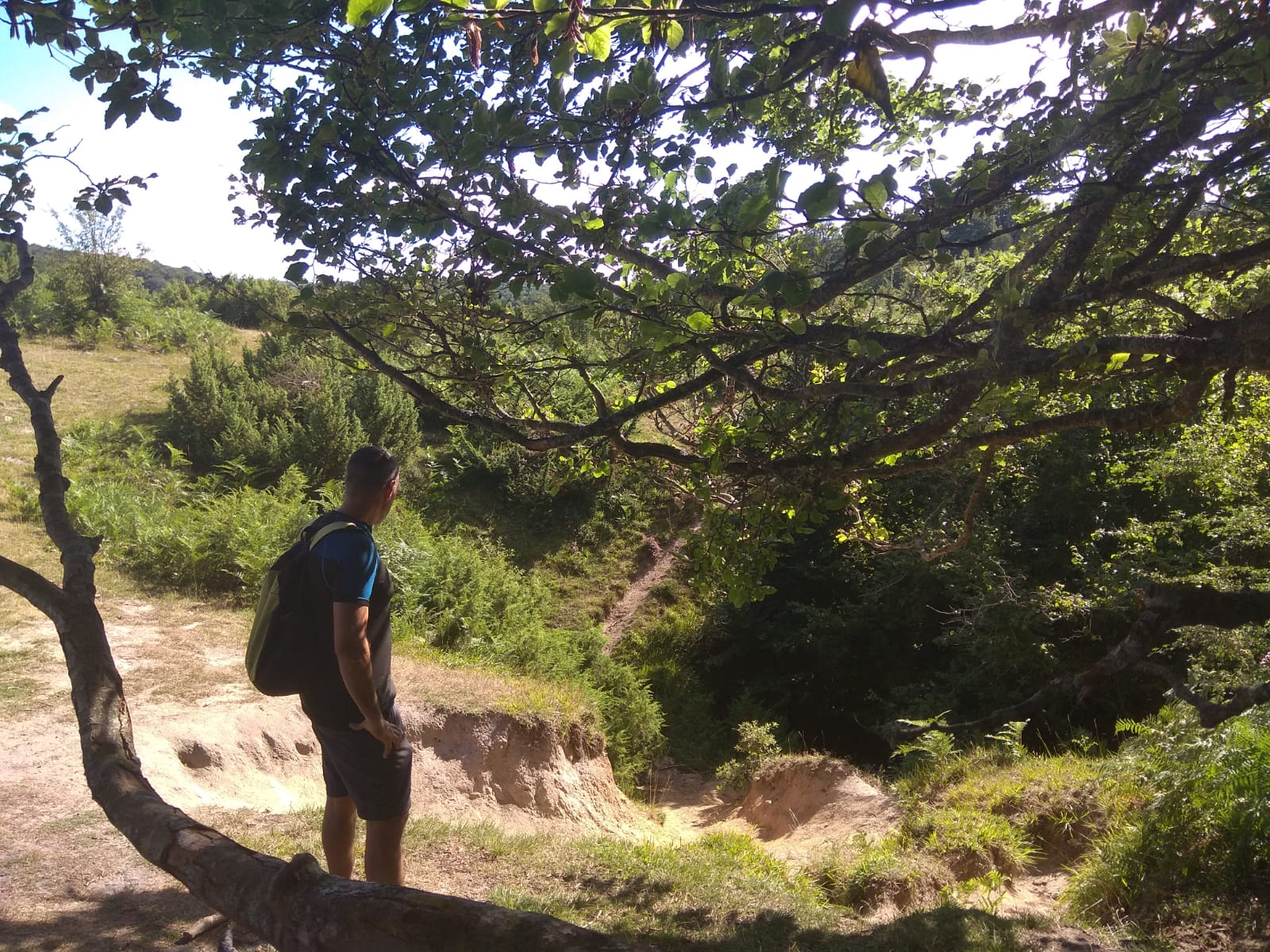 HAMAIKA MENDI VÍA FERRATA DE LARRAONA,BOSQUE ENCANTADO Y CUEVA DE LOS