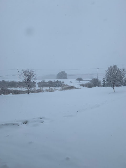 Ruple Farms - snow day!