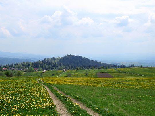 Widok na Żeleźnicę. Widok na Żeleźnicę.