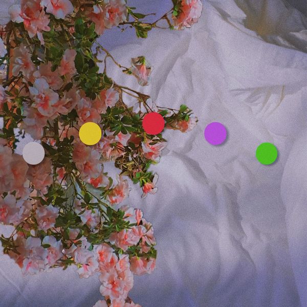 Houdini – Melatonin – Single