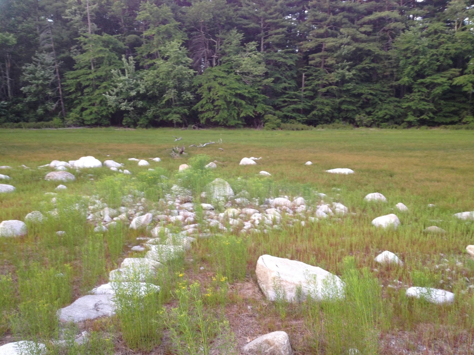 Rock Piles Circular Platform Grassy Pond Westford