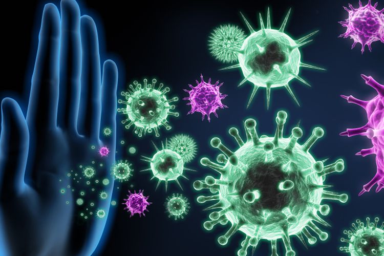 7 Cara Meningkatkan Imun Tubuh