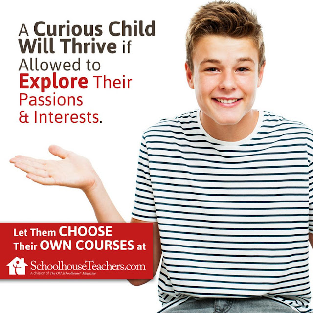 Text: A Curious Child will thrive if allowed to explore their passions & interests; picture of boy