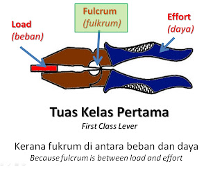 tuas kelas pertama