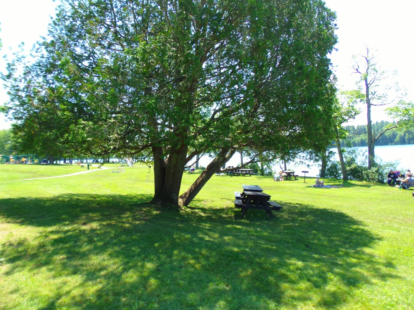 Lake St. State Park, Liberty, Maine