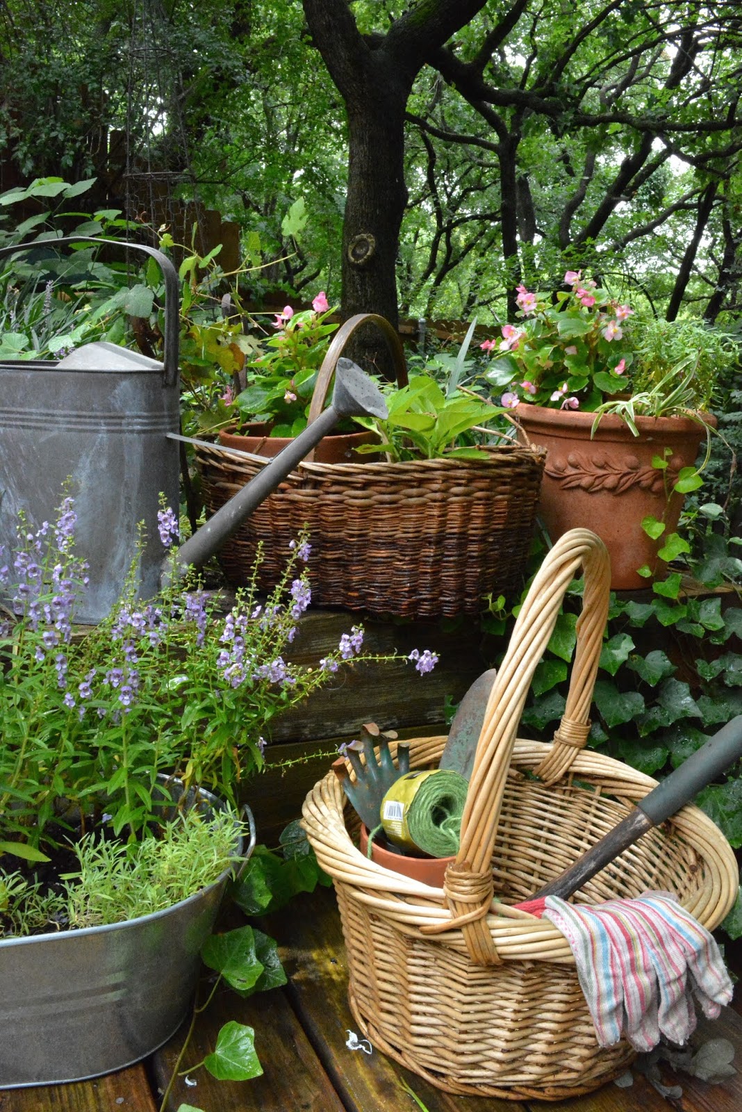 Let's Add Sprinkles: Baskets In The Garden/Lifestyle Of Love Blog Hop