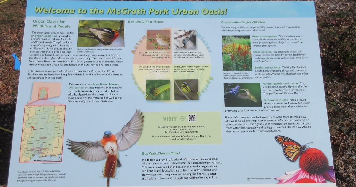 Prospect Land Trust... Birdfriendly Plants at Home a new webinar ser