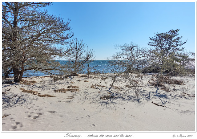 Monomoy: ... between the ocean and the land...