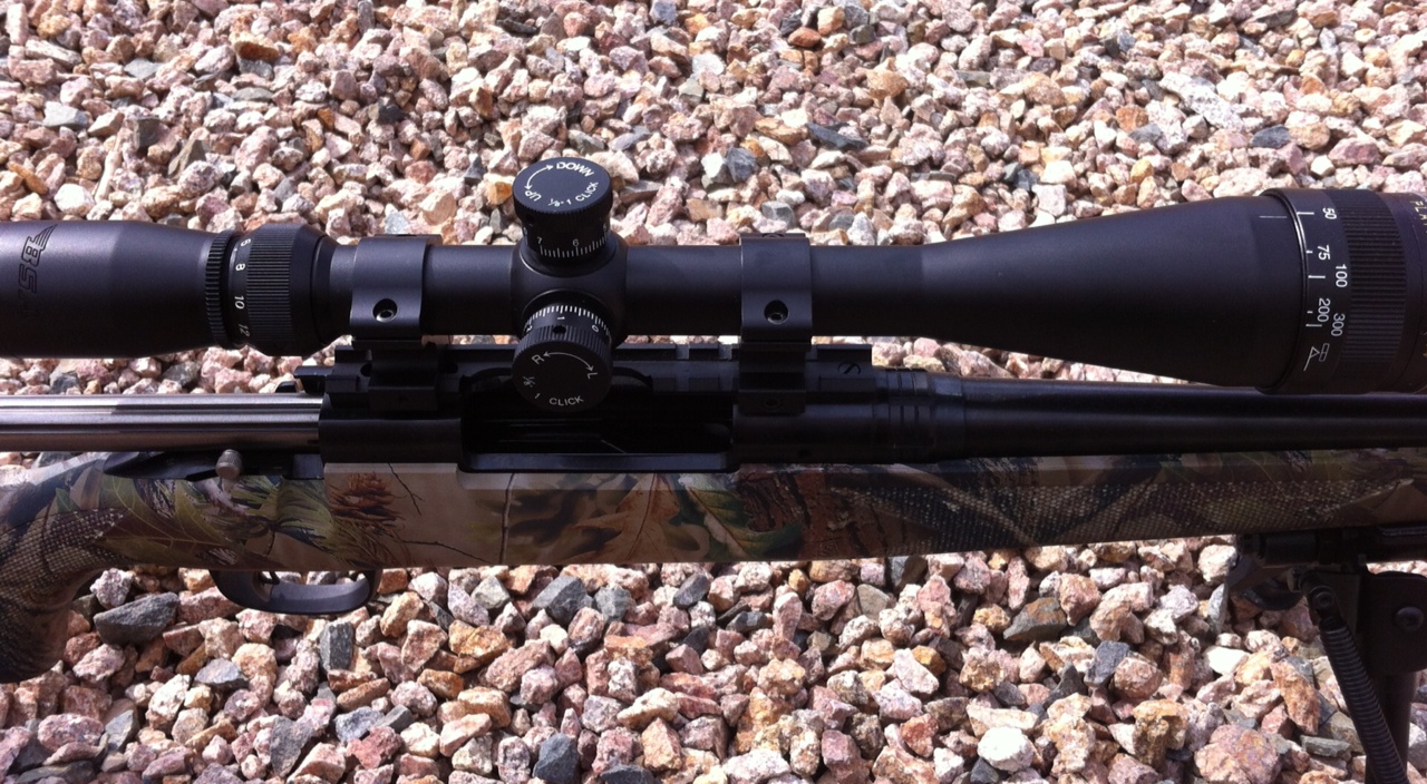 MnC Reviews: Review: BSA Platinum 6-24x44 Rifle Scope