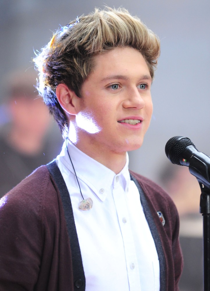 One Direction INA Biografi Niall Horan