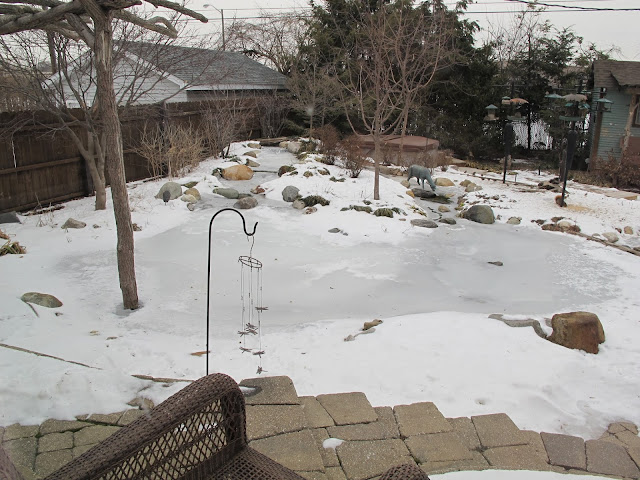 should you run your pond in the winter