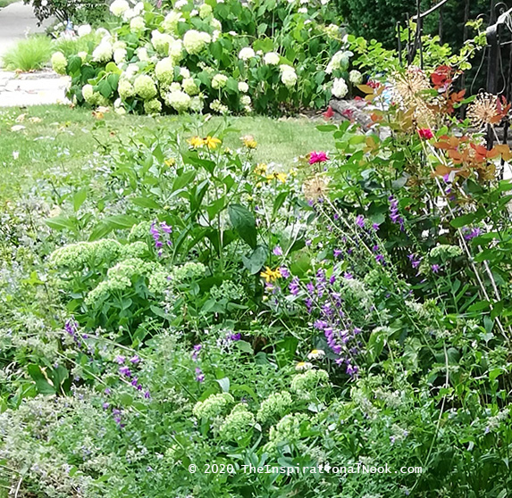 Garden bed, landscaping, hydrangea, autumn joy