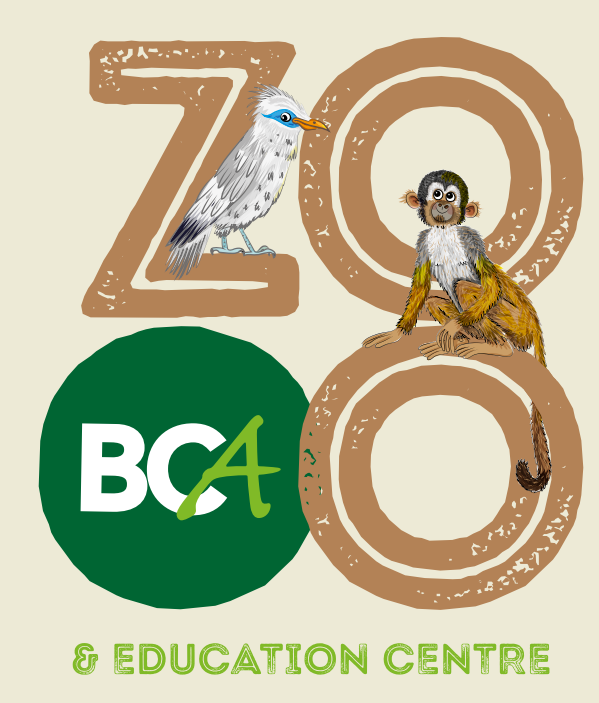 Zoo Jobs Lecturers Animal Management and Applied Science