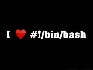 I love bash