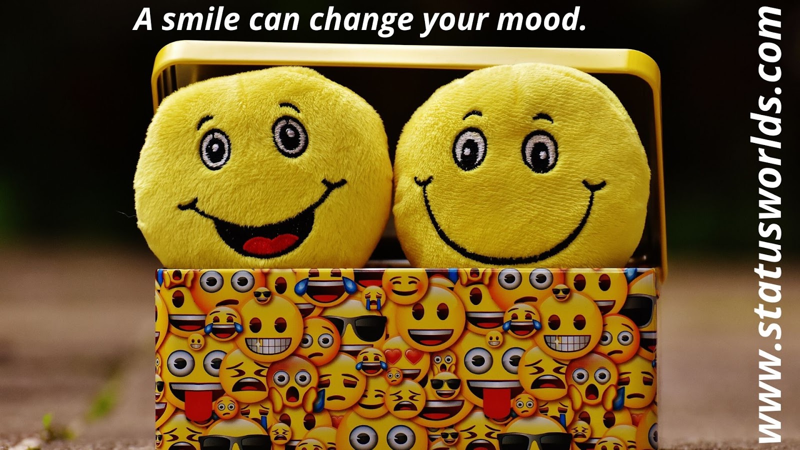 200+ Smile Status And Captions For Those People Who Have A Cute Smile -  Status World