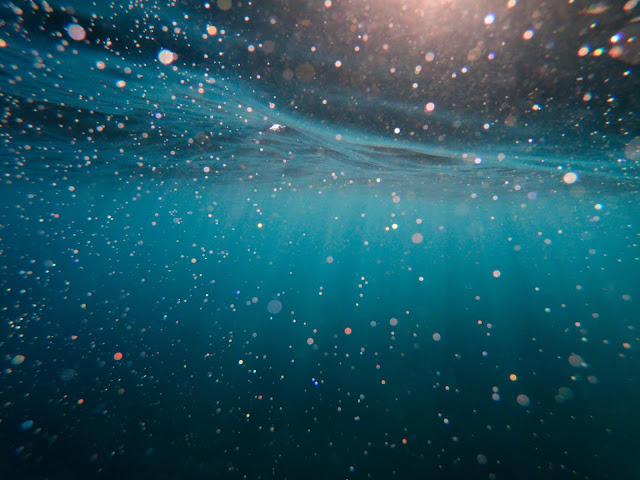 A twinkling confetti of little bubbles at the surface of the sea.