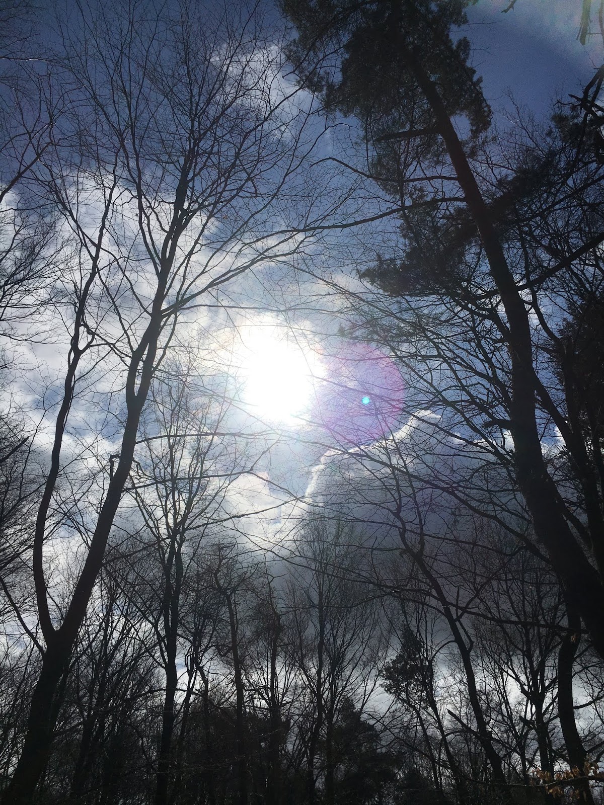 ATERRA blog Een wonder