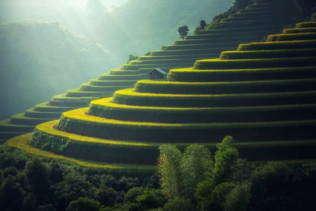 foto landscape sawah indonesia keren