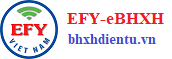 Chữ ký số EFY-CA | Phần mềm bảo hiểm xã hội điện tử EFY - EBHXH